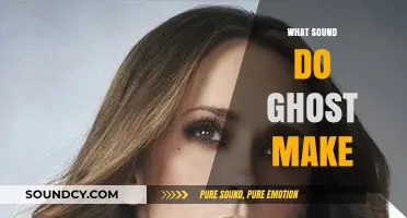 Eerie Whispers: Unveiling the Mysterious Sounds Ghosts Supposedly Make
