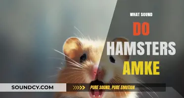 Discover the Adorable Noises Hamsters Make: Squeaks, Chirps, and More