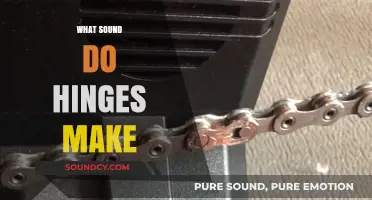 The Creak, Squeak, and Whisper: Decoding the Sounds Hinges Make