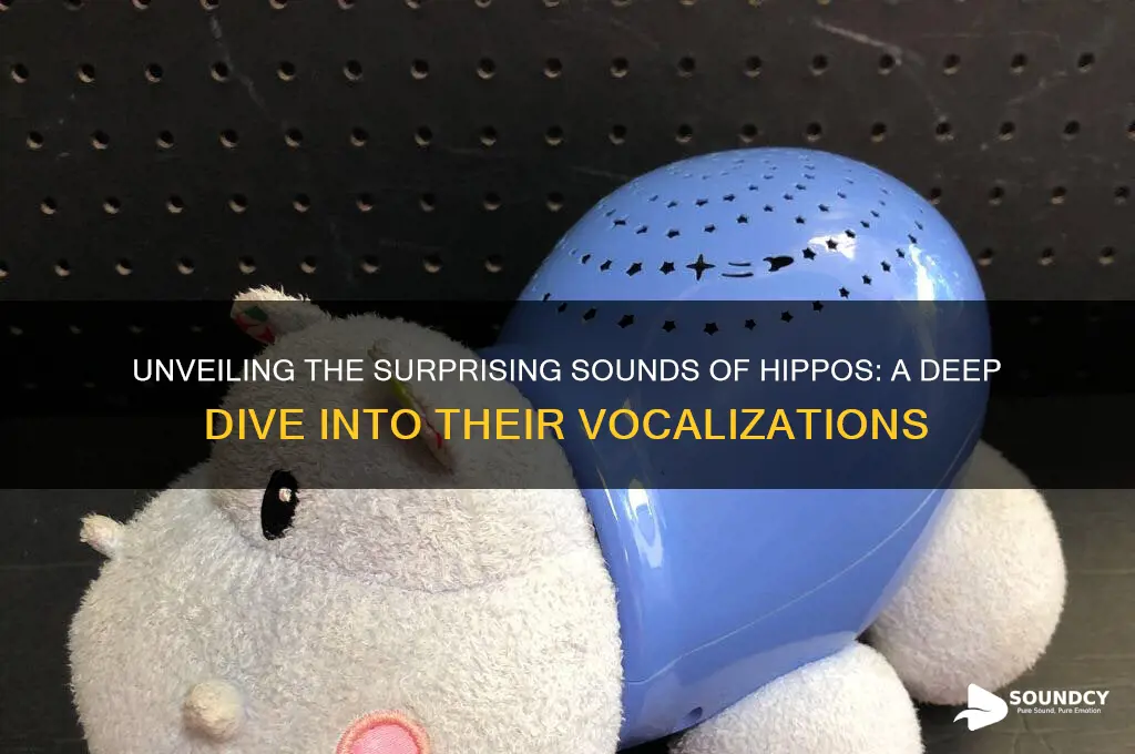 what sound do hippos make
