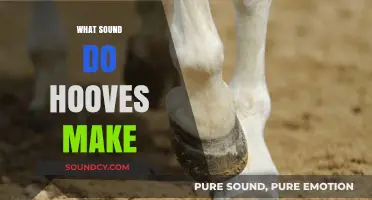 Clop, Clatter, or Thud: Decoding the Sounds of Hooves in Motion