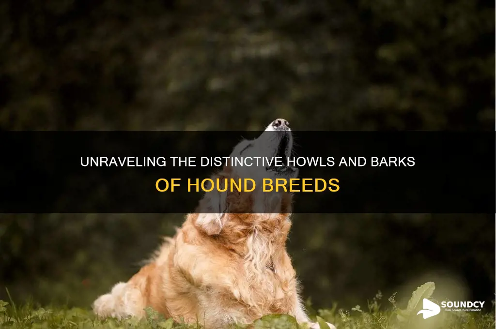 what sound do hounds make