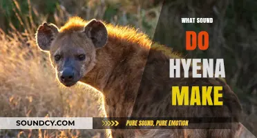Unveiling the Unique and Eerie Sounds of Hyenas in the Wild