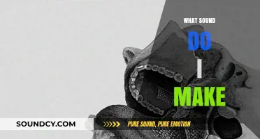 Discovering Your Unique Voice: What Sound Do You Make?