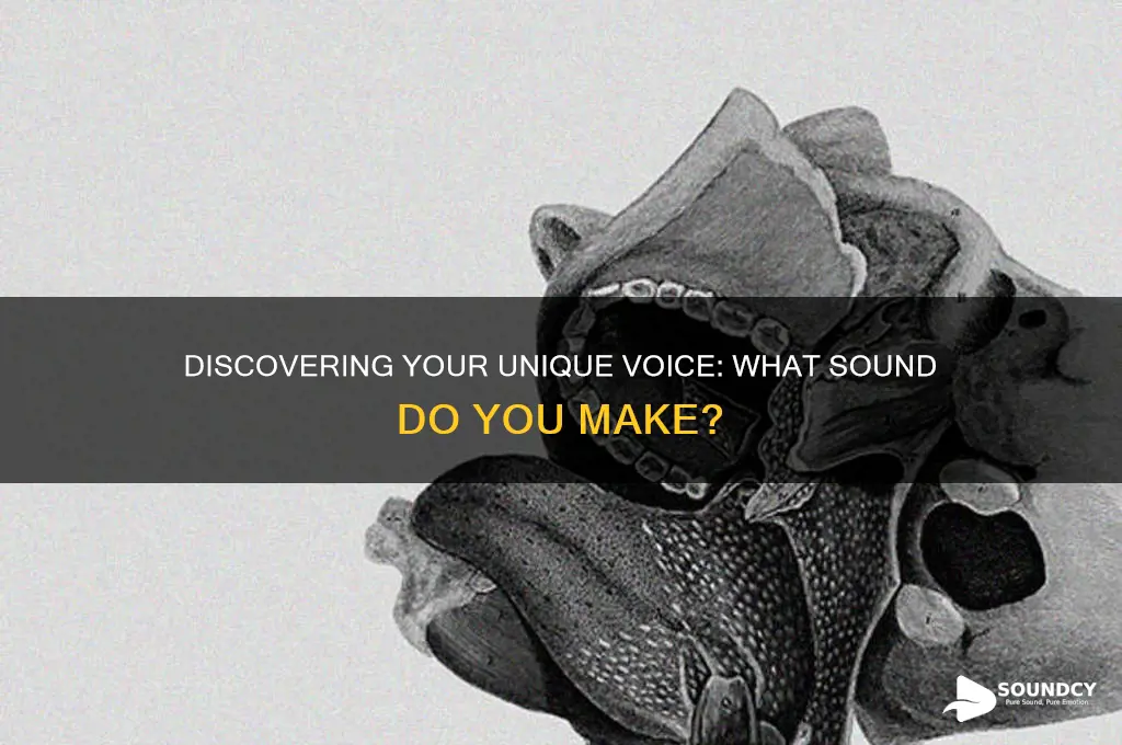 what sound do i make