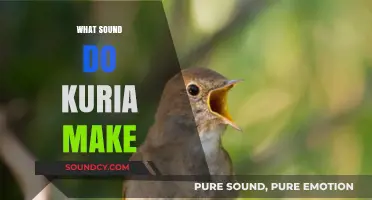 Unveiling the Unique Sounds of Kuria: A Comprehensive Exploration