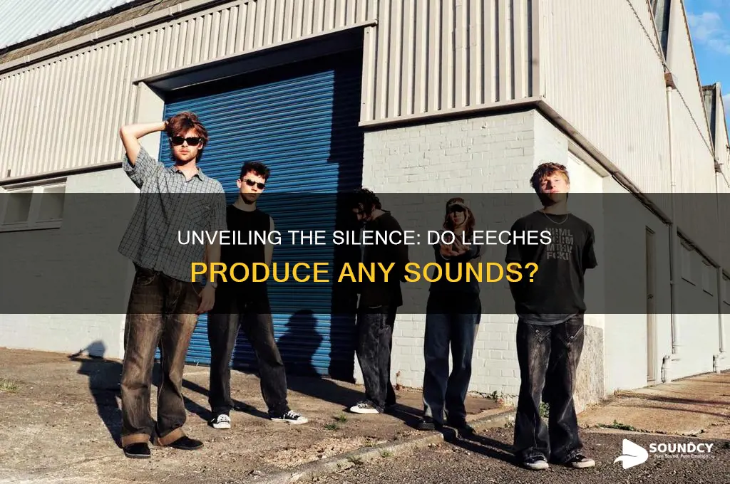 what sound do leeches make