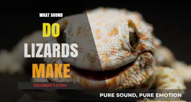 Unveiling the Surprising Sounds Lizards Make: A Comprehensive Guide