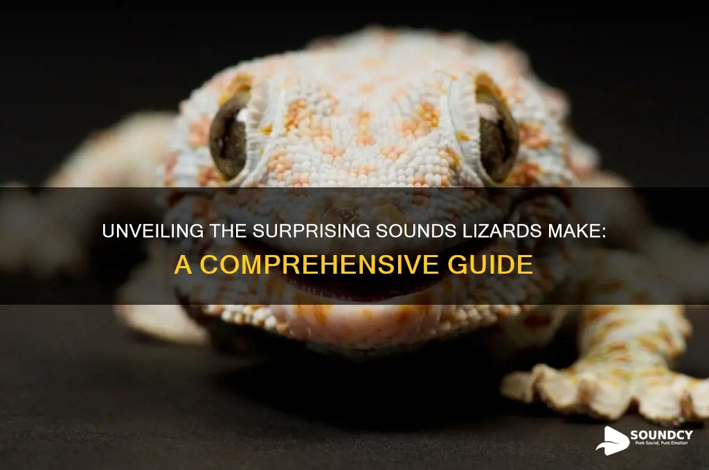 what sound do lizards make