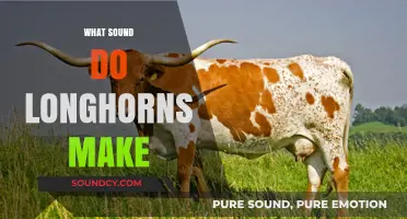 Unveiling the Unique Vocalizations of Majestic Texas Longhorns