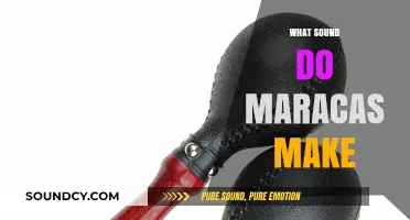 Exploring the Unique Rattle: What Sound Do Maracas Make?