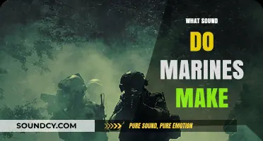 Unveiling the Unique Sounds Marines Make in Combat and Training