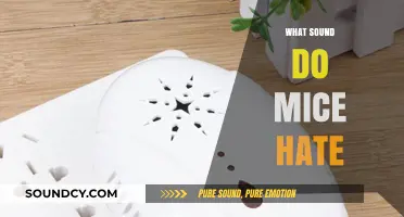 Unwanted Rodents? Discover the Sounds Mice Despise and Avoid