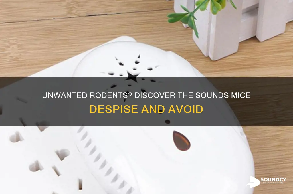 what sound do mice hate