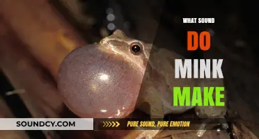 Unveiling the Unique Vocalizations: What Sound Do Mink Make?