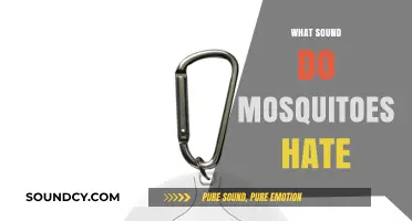 Buzz Off: Discover the Sounds That Repel Annoying Mosquitoes