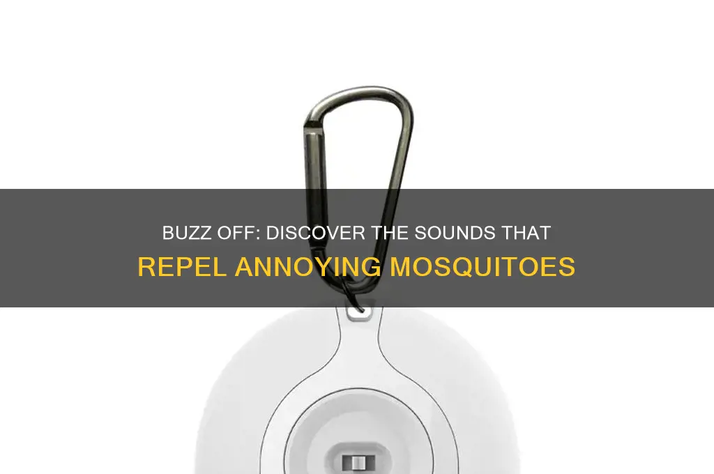 what sound do mosquitoes hate