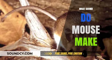 Uncovering the Quiet World: What Sounds Do Mice Actually Make?