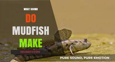 Unveiling the Mystery: What Sound Do Mudfish Make?