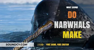 Unveiling the Mystical Sounds of Narwhals: A Deep Dive into Their Vocalizations