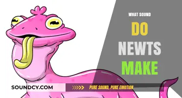 Unveiling the Secret Sounds: What Noises Do Newts Actually Make?