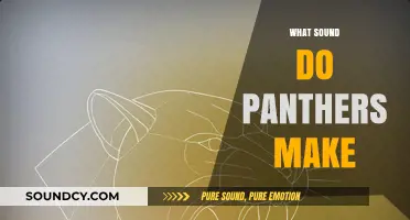 Unveiling the Mysterious Vocalizations: What Sound Do Panthers Make?