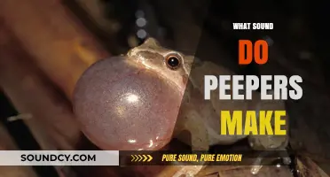 Unveiling the Unique Calls of Peepers: A Guide to Their Sounds