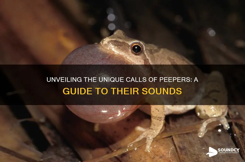 what sound do peepers make