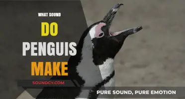 Discover the Unique Vocalizations: What Sounds Do Penguins Actually Make?