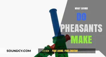 Unveiling the Unique Calls: What Sound Do Pheasants Make?