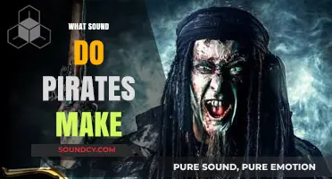 Unveiling the Swashbuckling Sounds: What Noise Do Pirates Truly Make?