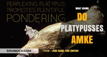 Unveiling the Unique Sounds of Platypuses: What Noises Do They Make?