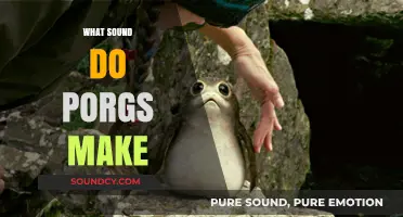 Unveiling the Adorable Sounds of Star Wars' Porgs: A Guide
