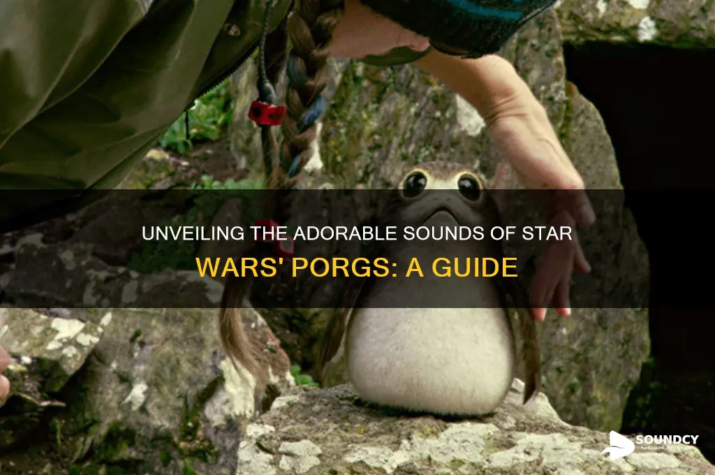 what sound do porgs make