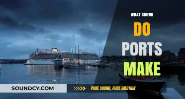 Unveiling the Unique Sounds of Ports: A Sonic Exploration
