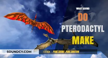 Unveiling the Mystery: What Sound Did Pterodactyls Really Make?