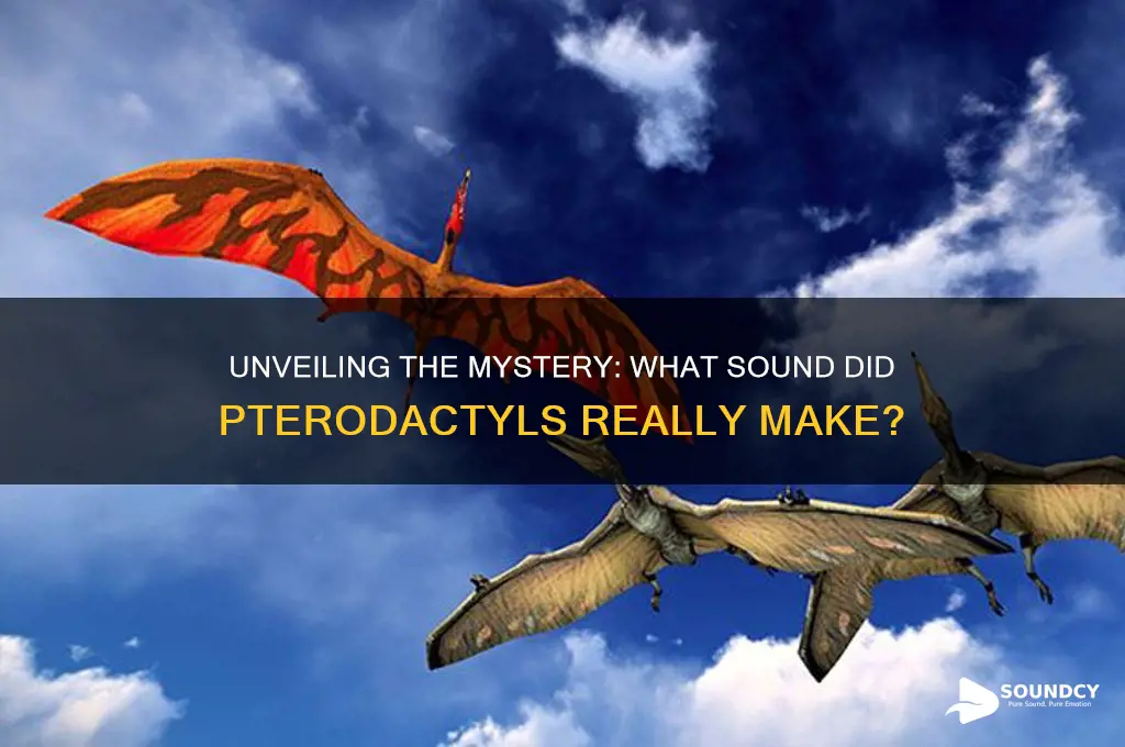 what sound do pterodactyls make