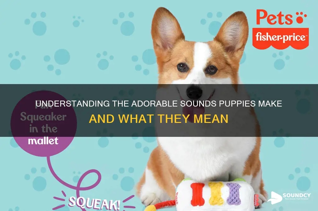 what sound do puppies make