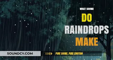 The Soothing Symphony: Decoding the Gentle Sound of Raindrops