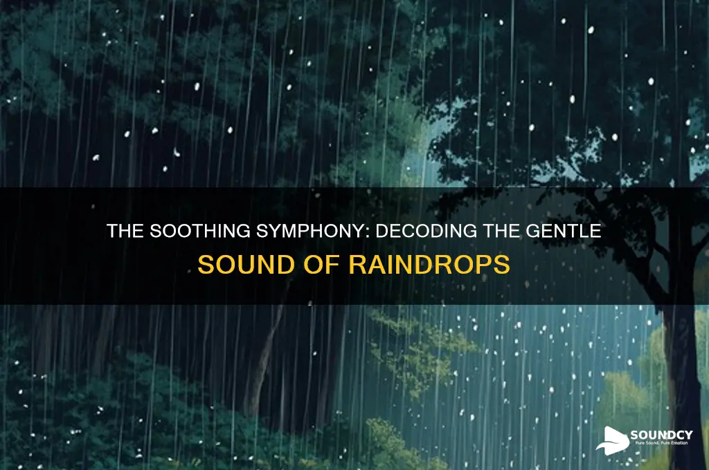 what sound do raindrops make