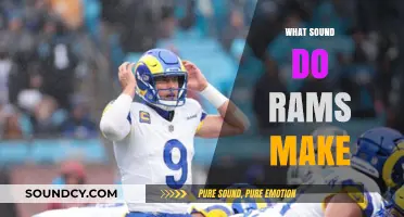 Unraveling the Unique Vocalizations: What Sound Do Rams Make?