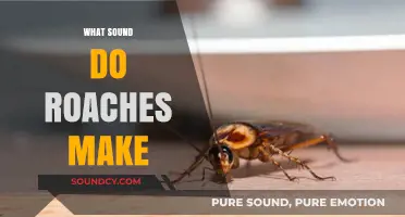 Unveiling the Creepy Crawly Sounds: What Noise Do Roaches Make?