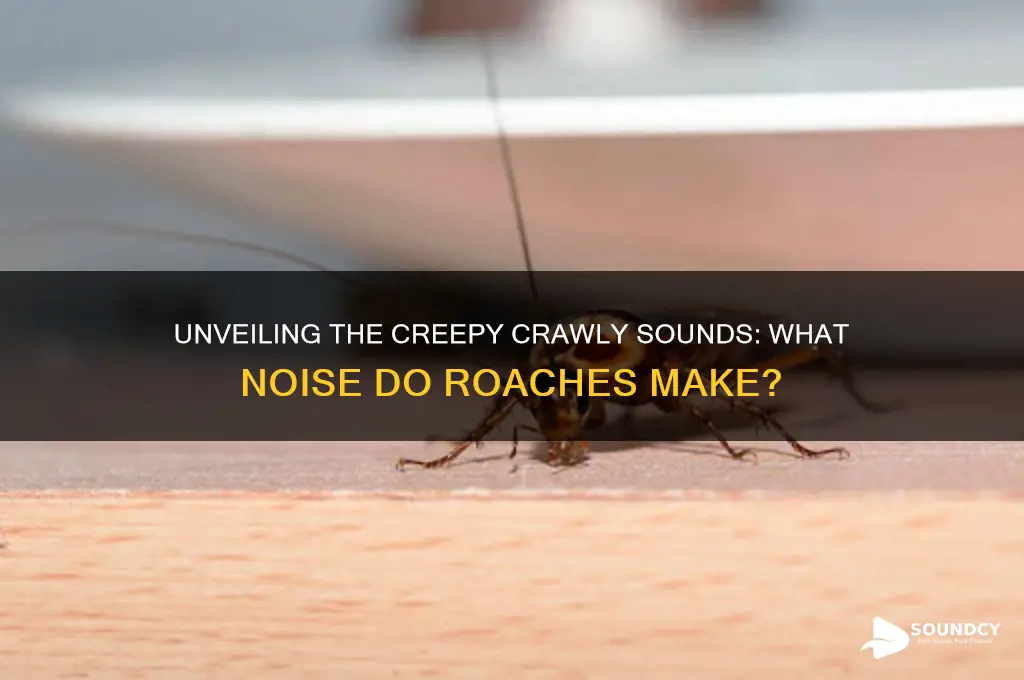 what sound do roaches make