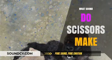 The Surprising Sound of Scissors: Unraveling the Snip and Crunch