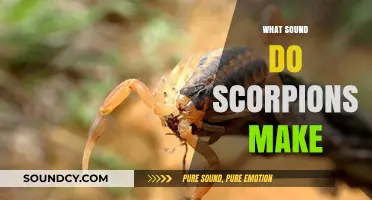 Unveiling the Mystery: What Sounds Do Scorpions Actually Make?