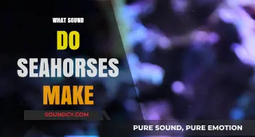 Unveiling the Mystery: Do Seahorses Make Any Sounds?