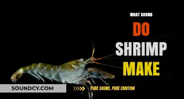 Unveiling the Surprising Sounds Shrimp Make in the Ocean Depths