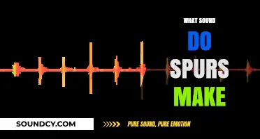 The Clinking Sound of Spurs: Unraveling the Unique Noise They Make