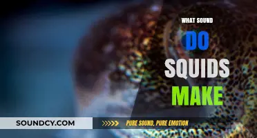 Unveiling the Mysterious Sounds of Squids: What Do They Communicate?