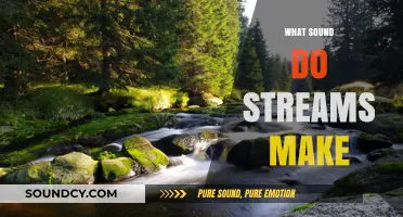 The Soothing Symphony: Unraveling the Gentle Sounds of Streams